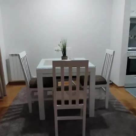 Apartment Davidovic 31 *