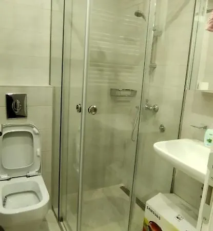 Apartment Davidovic 31 *