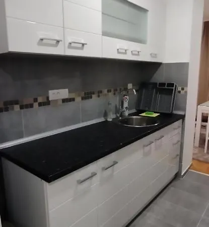 Davidovic 31 Apartment Valjevo